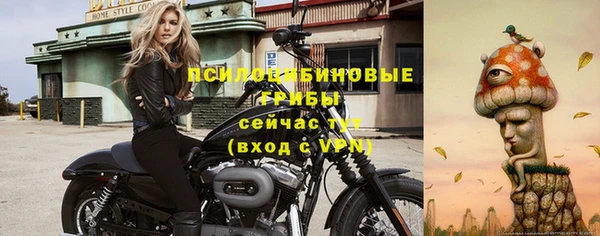 меф Алексин