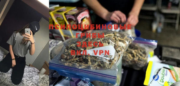 дурь Надым