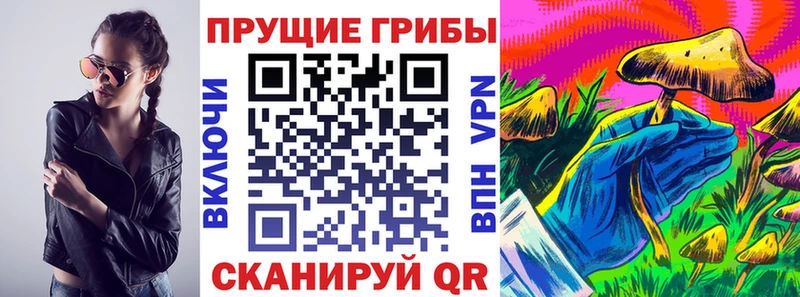Псилоцибиновые грибы Cubensis  Сорочинск 